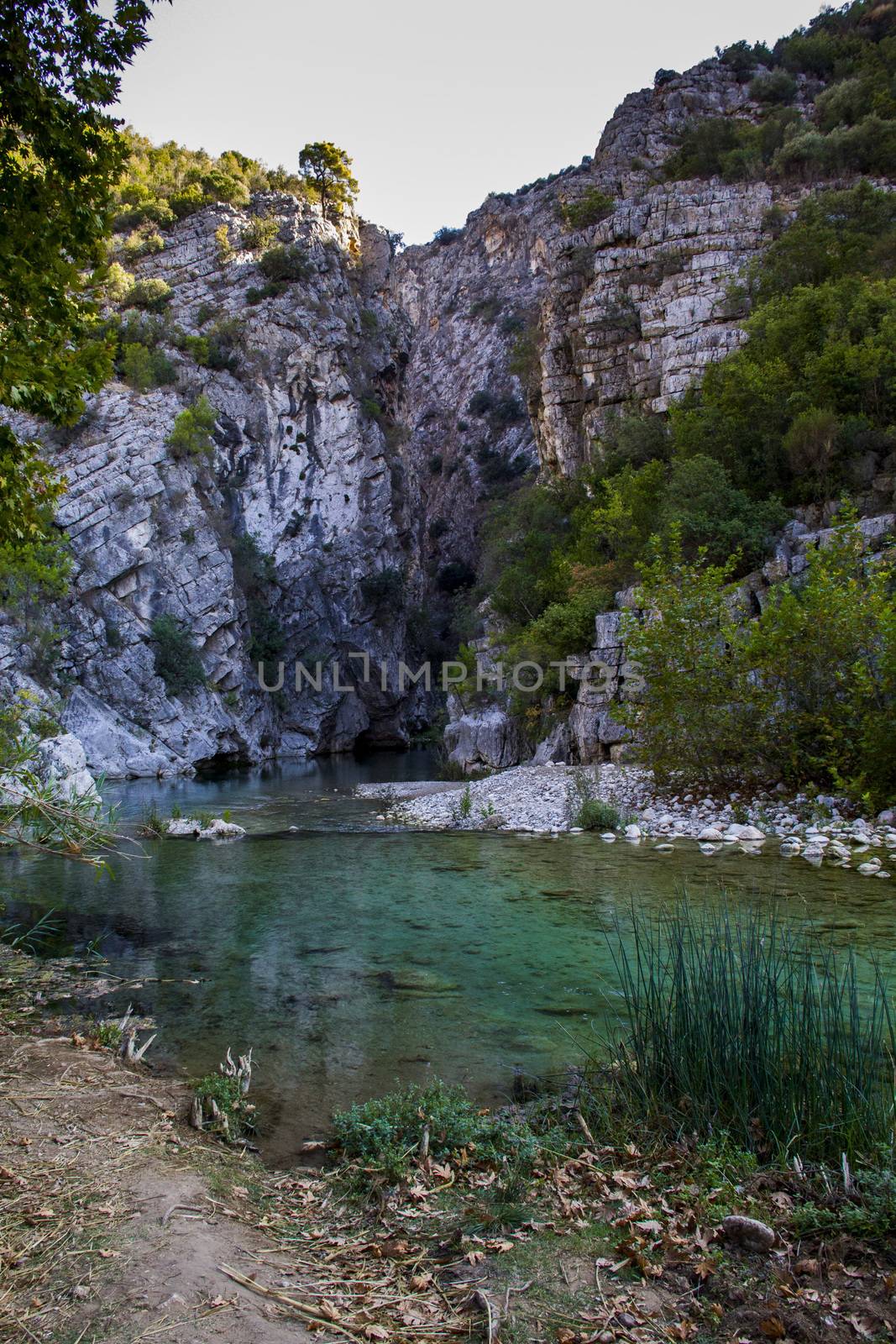 Mysterious mountainous jungle with trees leaning over fast stream with rapids. Magical scenery of rainforest and river with rocks. Wild, vivid vegetation of tropical forest.