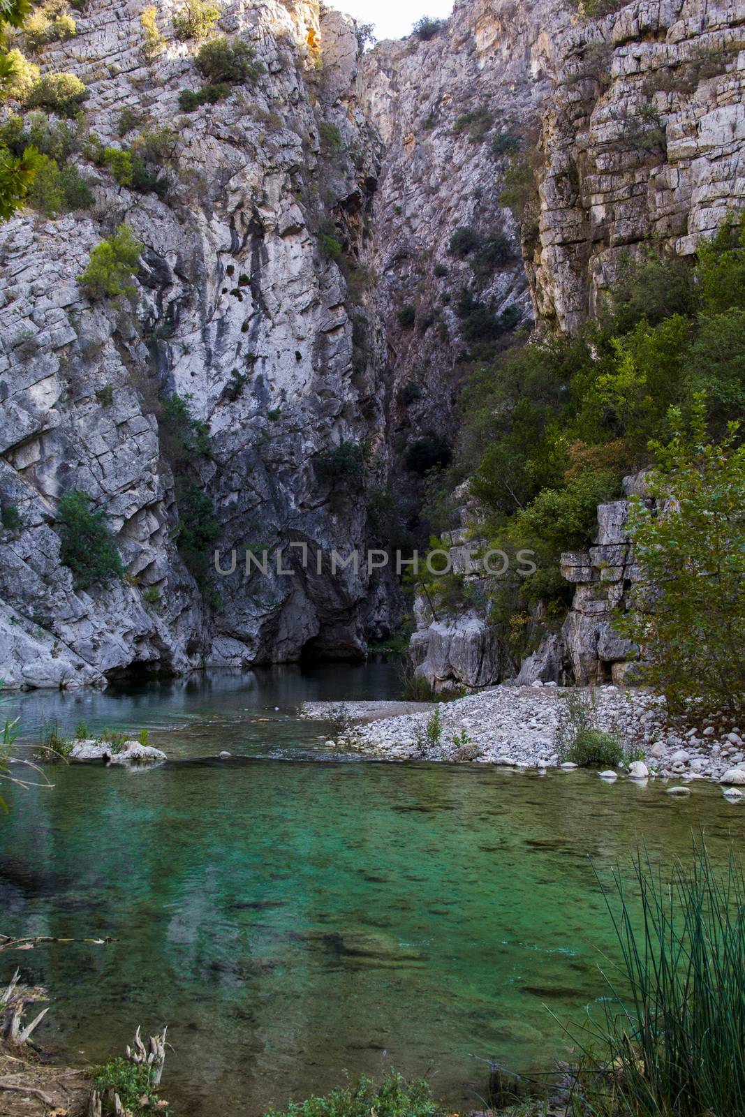 Mysterious mountainous jungle with trees leaning over fast stream with rapids. Magical scenery of rainforest and river with rocks. Wild, vivid vegetation of tropical forest.