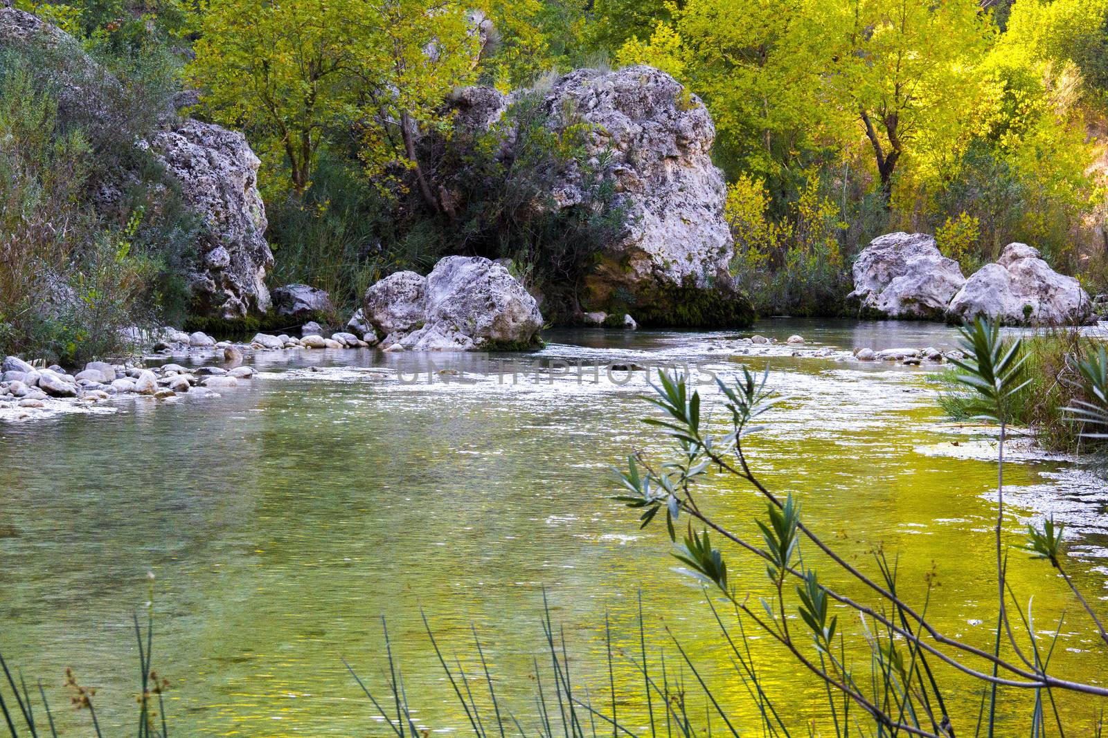 Mysterious mountainous jungle with trees leaning over fast stream with rapids. Magical scenery of rainforest and river with rocks. Wild, vivid vegetation of tropical forest.