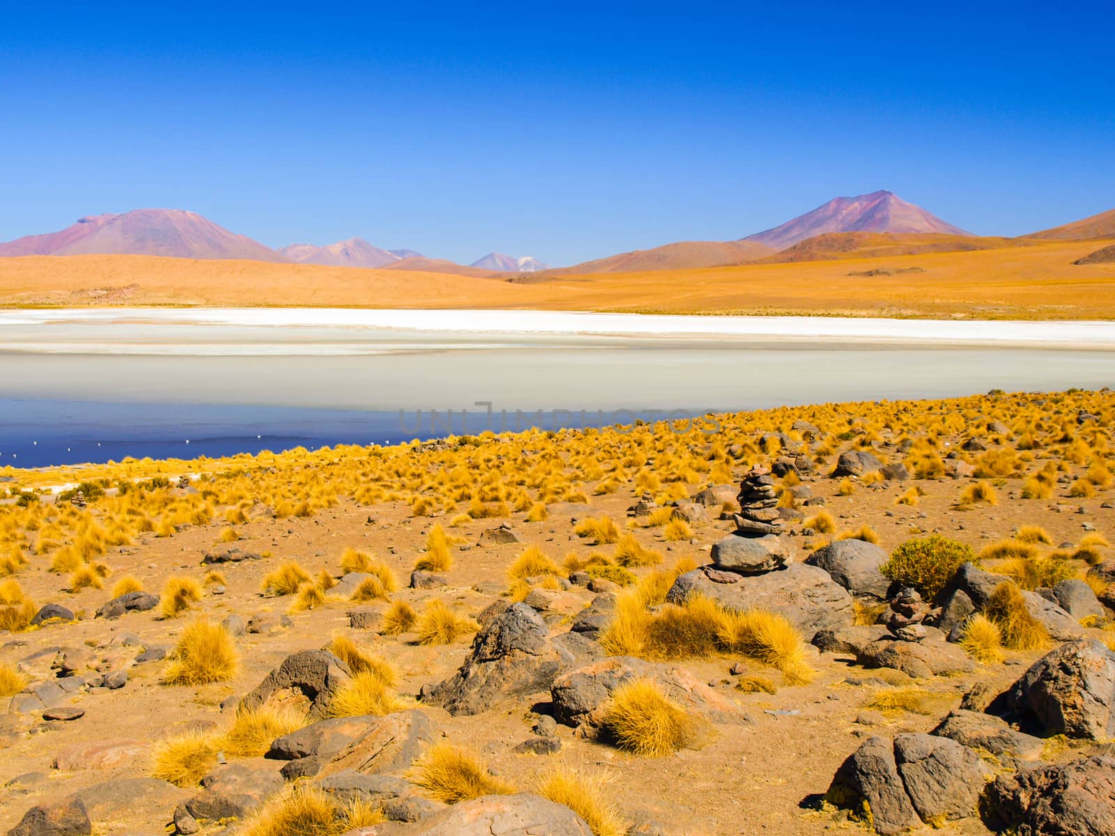 Desolate desert and mountainous landscape of southern Altiplano with lagoon, Andes, Bolivia.