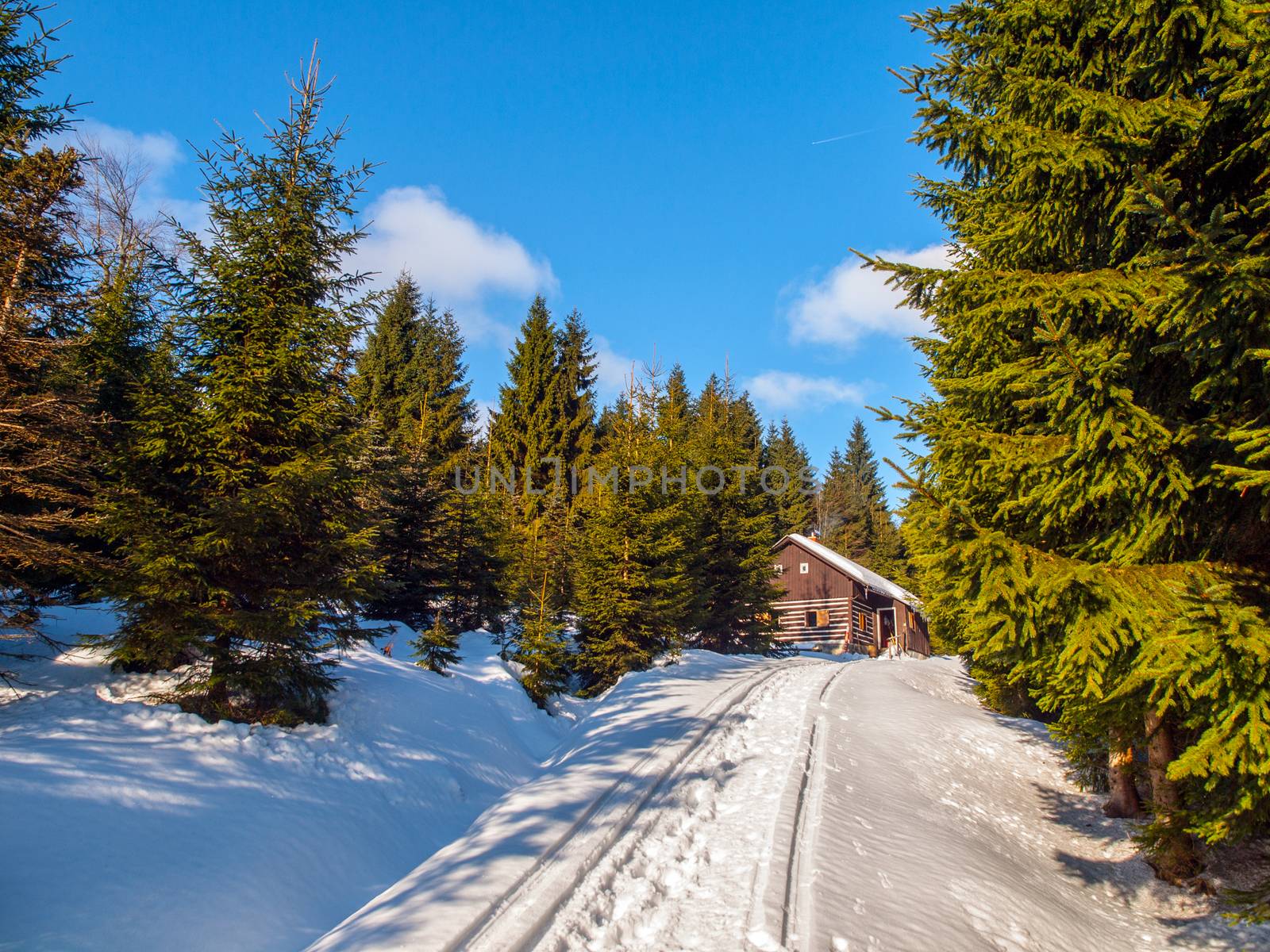 Small wooden cottage in the middle of winter forest.