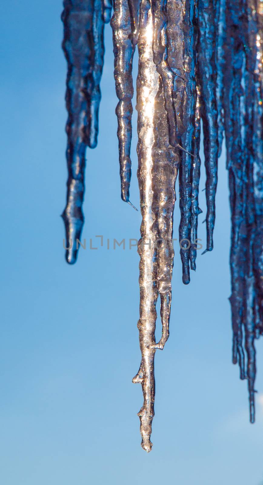 Detailed view of icicles on sunny winter day with clear blue sky background.