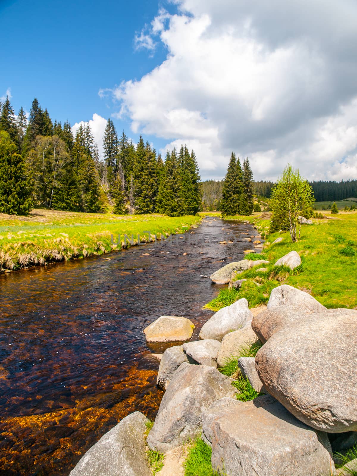 Idyllic landscape with calm mountain river on sunny day. White stones and green meadows and trees. Sumava National Park, Bohemian Forest, Czech Republic by pyty