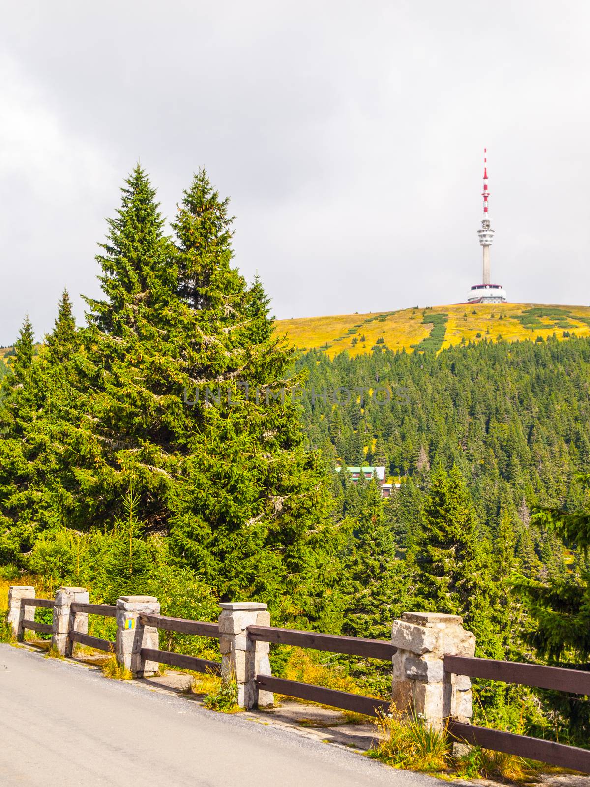 Asphalt road leading to TV transmitter and lookout tower on the summit of Praded Mountain, Hruby Jesenik, Czech Republic by pyty