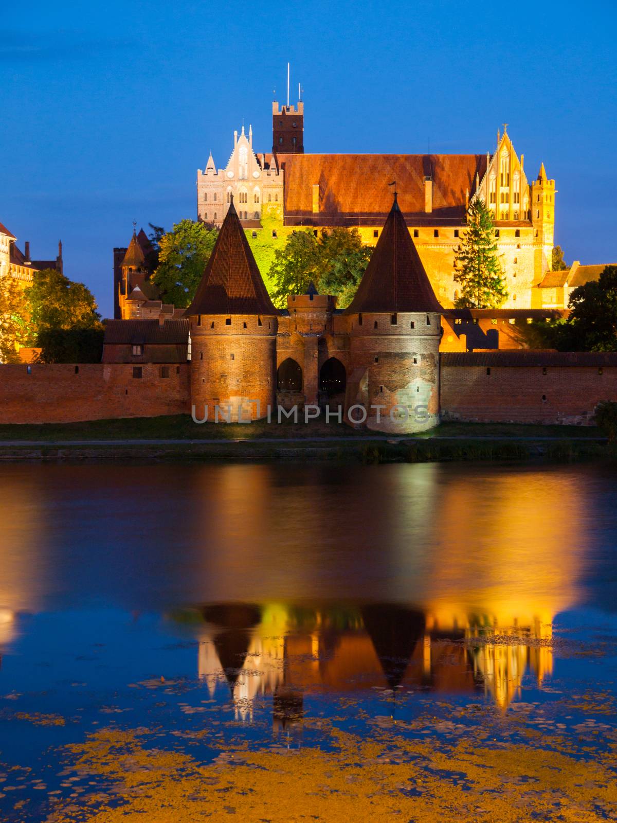 Malbork Castle by night with reflection in Nogat river, Poland