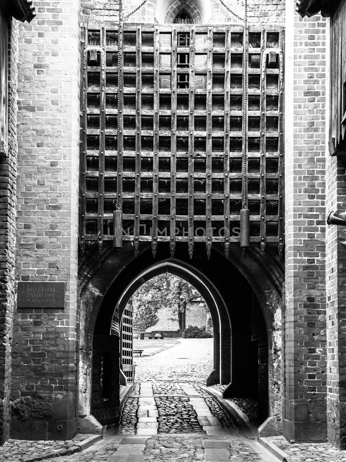 Medieval castle gate with iron bars. Black and white image.