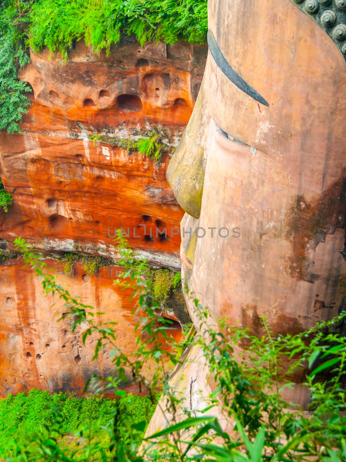 Close-up view of Dafo - Giant Buddha statue in Leshan, Sichuan Province, China by pyty