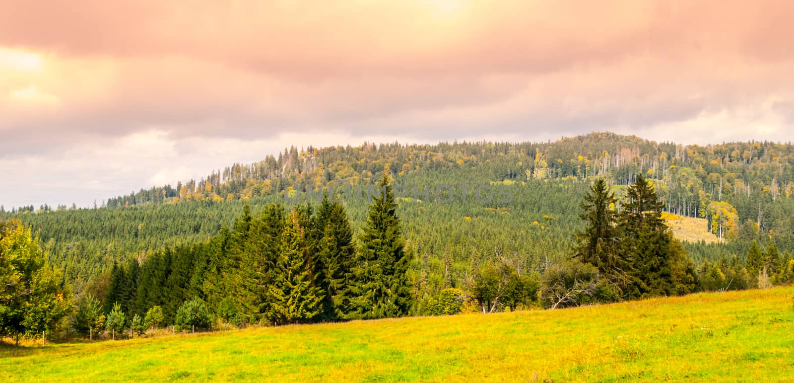 Stozec Mountain ridge with Stozec Rock on the top. Forest landscape of Sumava Mountains, Czech Republic by pyty