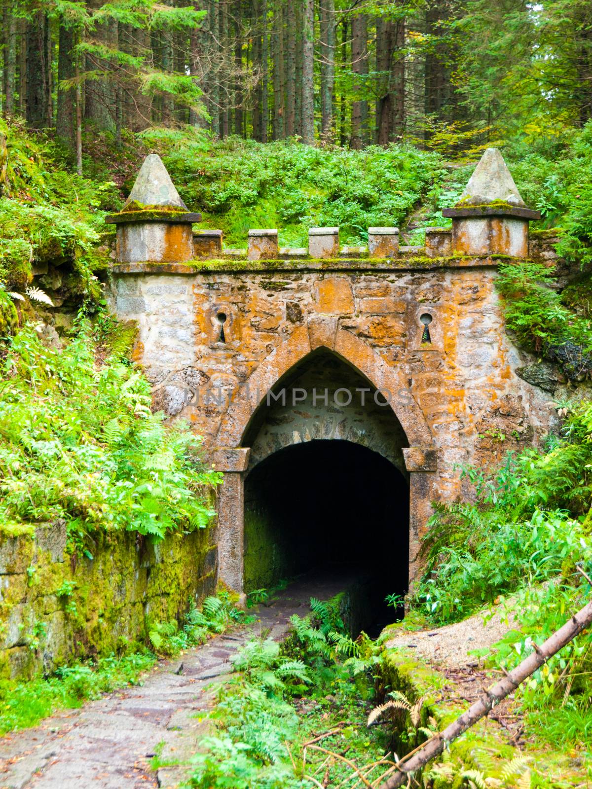 Upper entrance to tunnel of historical Schwarzenberg shipping canal, Sumava Mountains, Czech Republic.