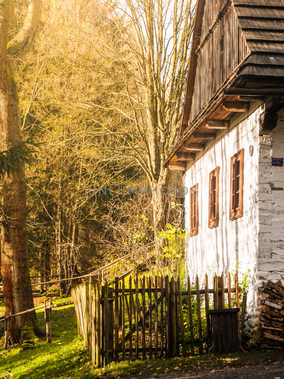Wooden houses of Vesely Kopec folk museum. Czech rural architecture. Vysocina, Czech Republic by pyty