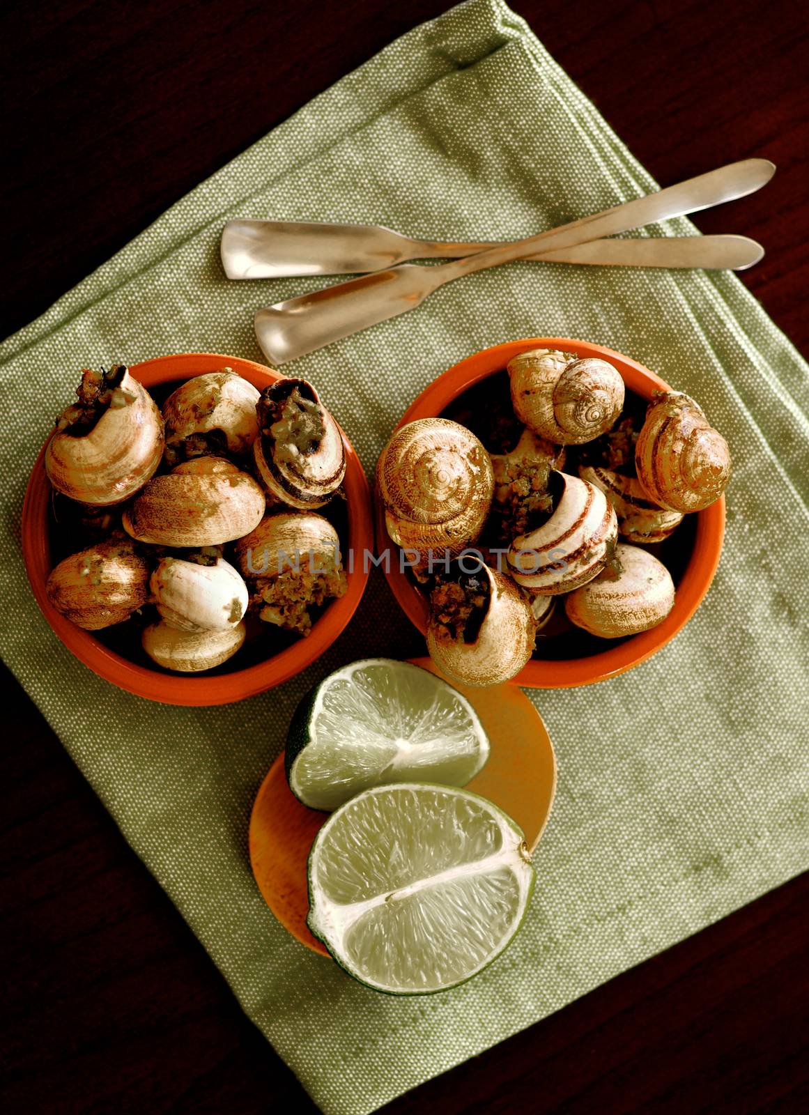 Snails with Garlic Butter by zhekos