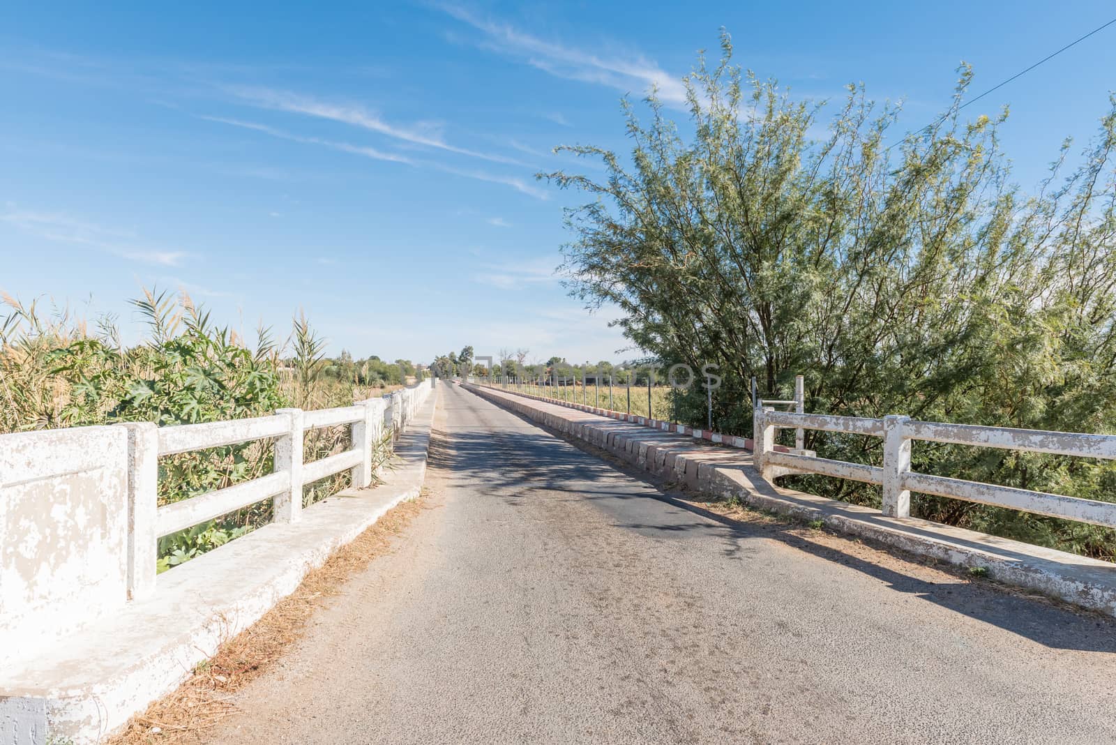 Single lane bridge over part of the Orange River at Marchand in the Northern Cape Province