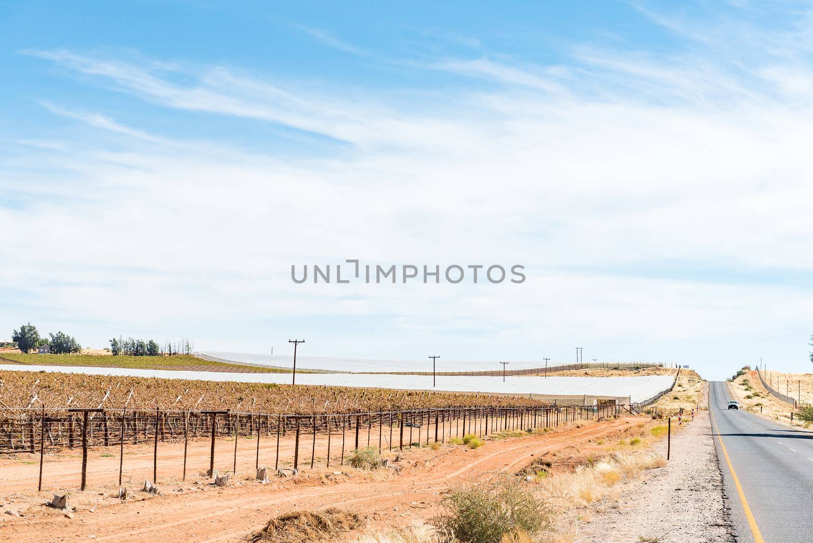 The road between Marchand and Augrabies town with vineyards next to the road, some protected by shade net against birds, hail and late frost