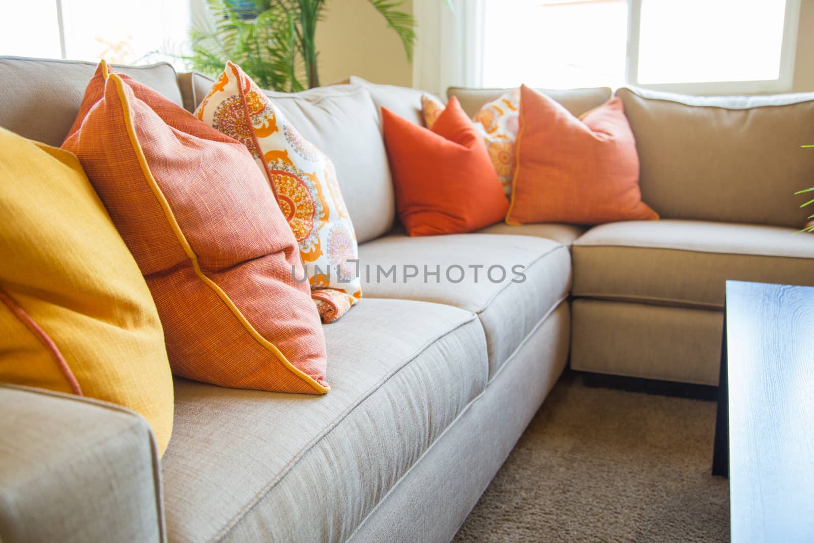 Abstract of Inviting Colorful Couch Sitting Area in House.