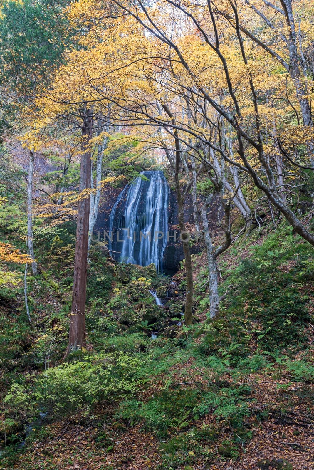 Tatsuzawafudo Waterfall Fukushima by vichie81