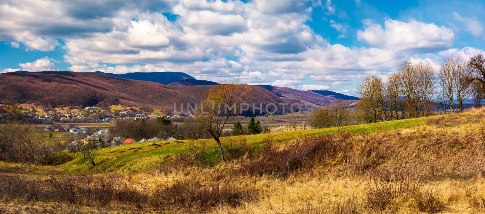 panorama of mountainous rural area in springtime by Pellinni