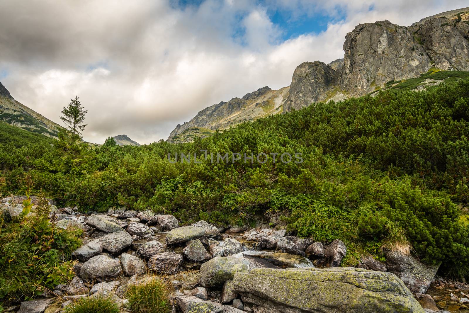 Mountain Landscape on Cloudy Day by Kayco