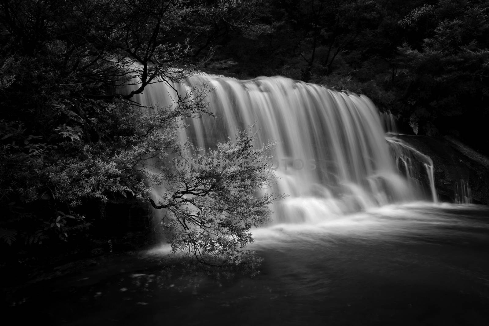 Beautiful waterfall in the Blue Mountains.  This is Queens Cascade, part of the Upper Wentworth Falls, just before it flows over the escarpment to the valleys below