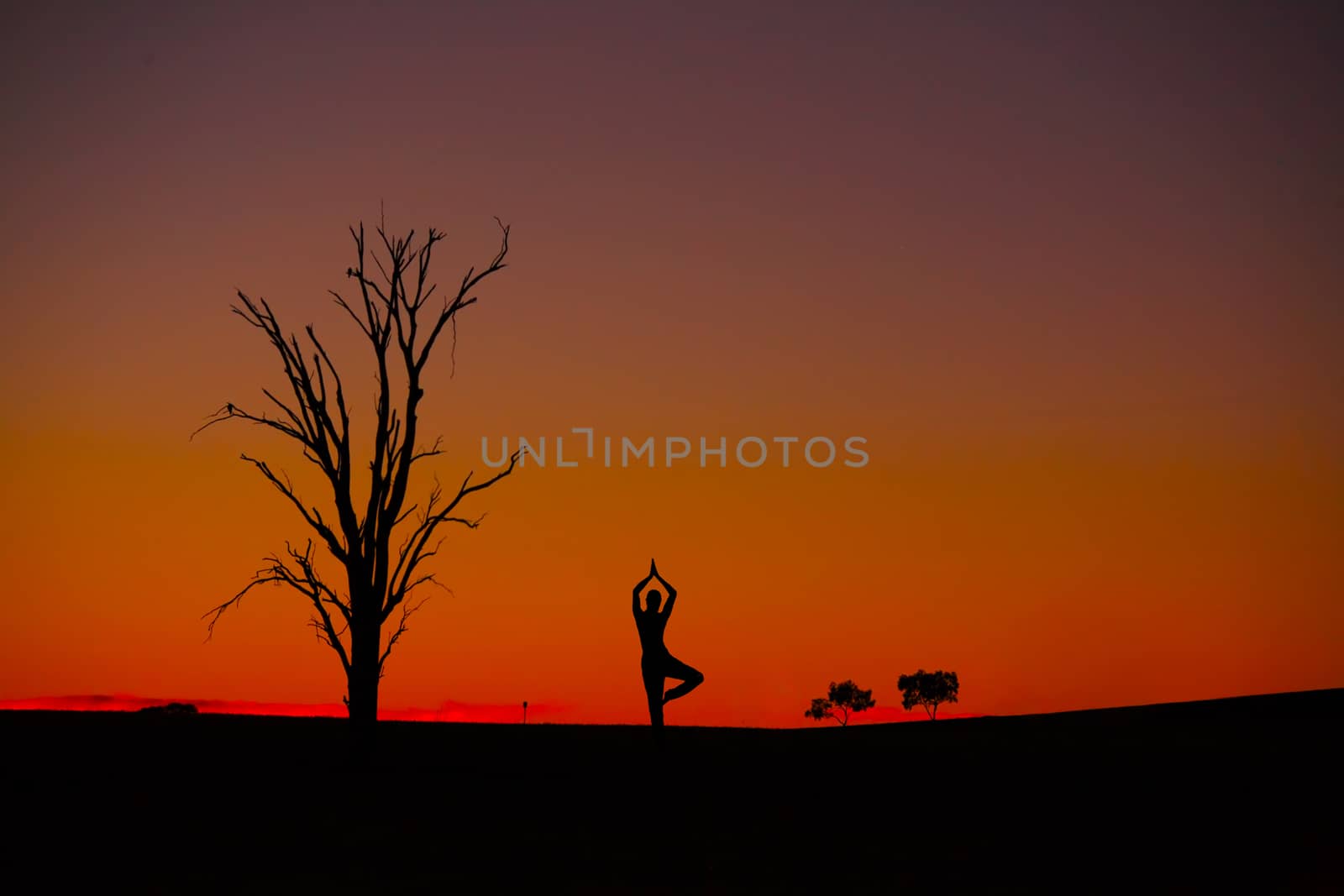 Woman meditation outdoors intense sunset tree silhouettes