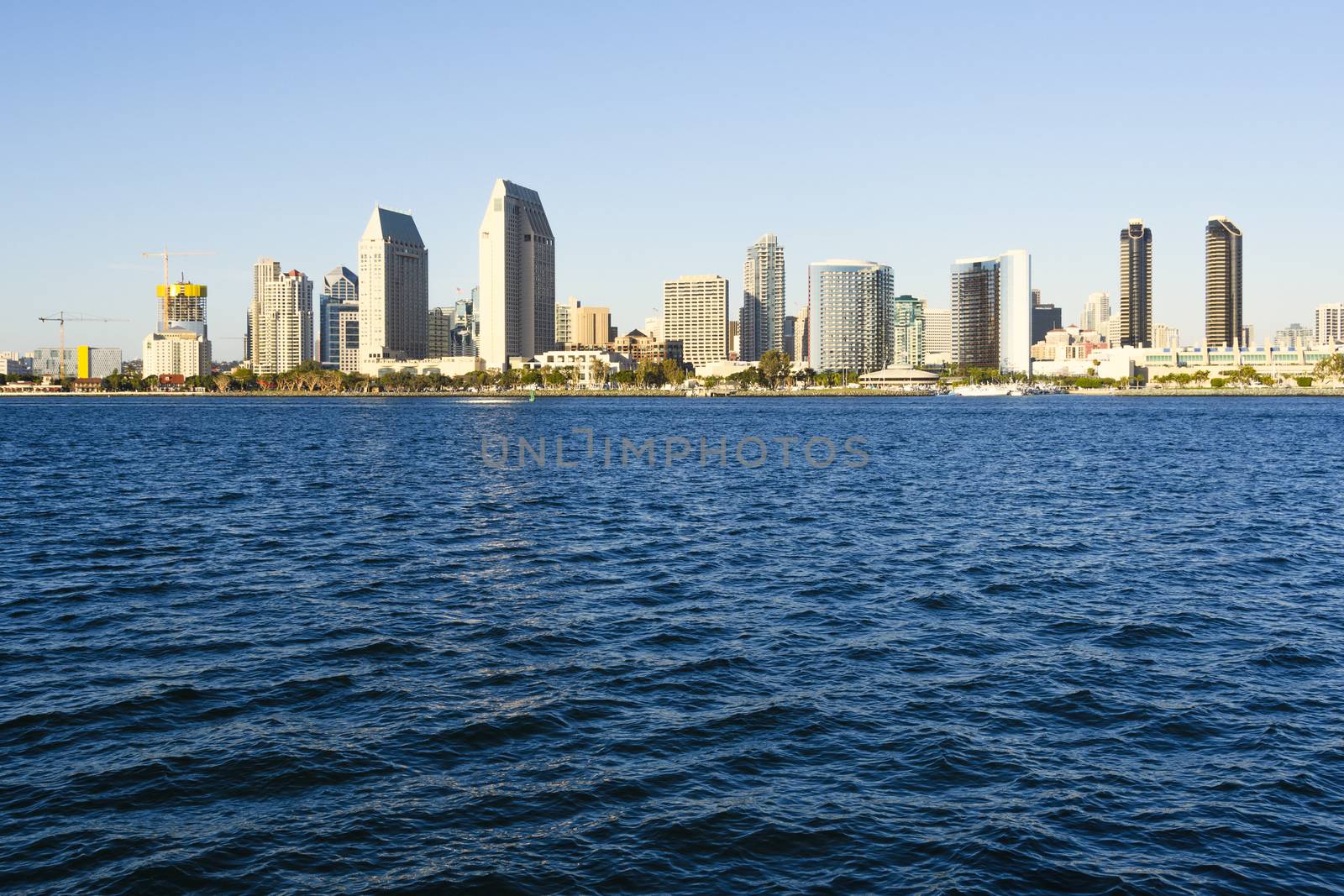 San Diego Downtown Skyline by whitechild