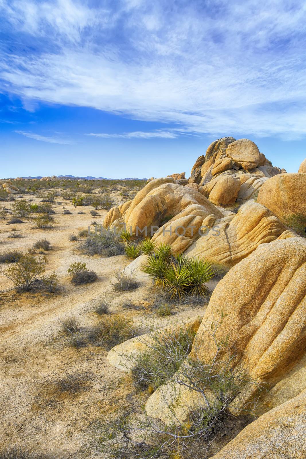 Rock formation in Joshua Tree National Park, California, USA, on a sunny afternoon.