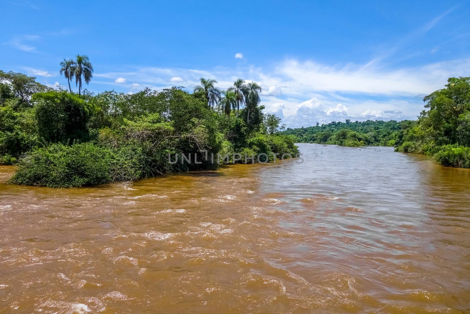Parana river at iguazu falls national park. tropical rapids and rainforest landscape