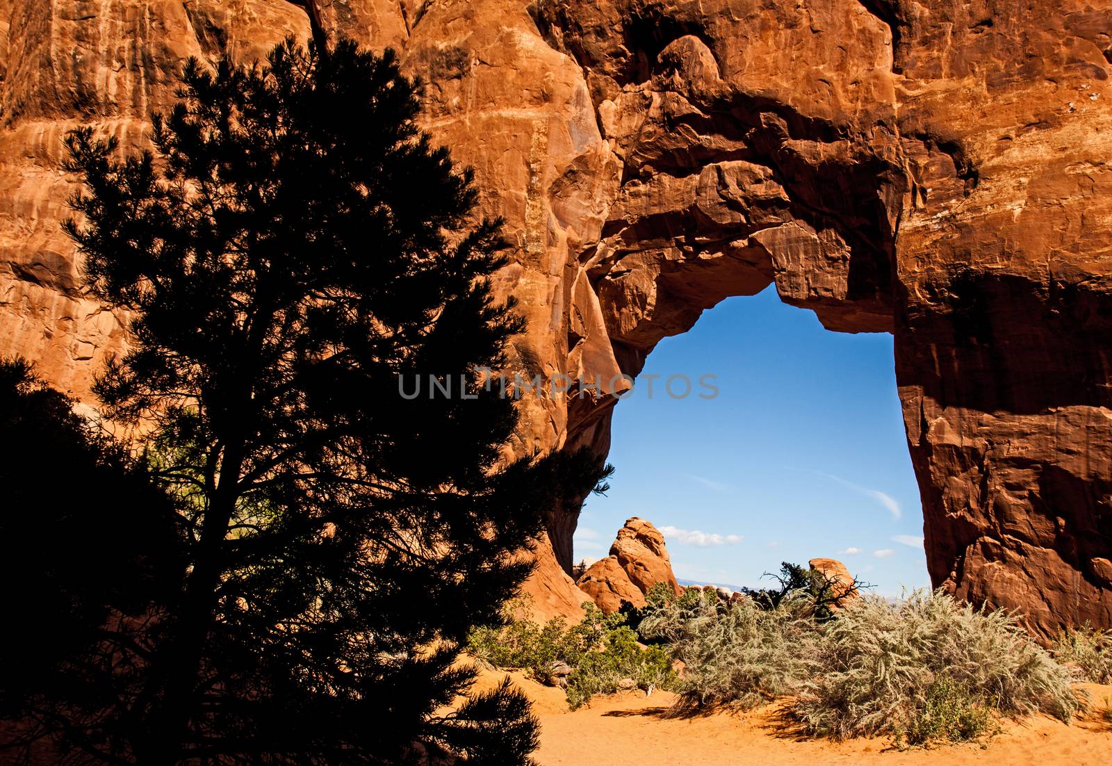 The Pine Tree Arch in Arches National Park. Utah
