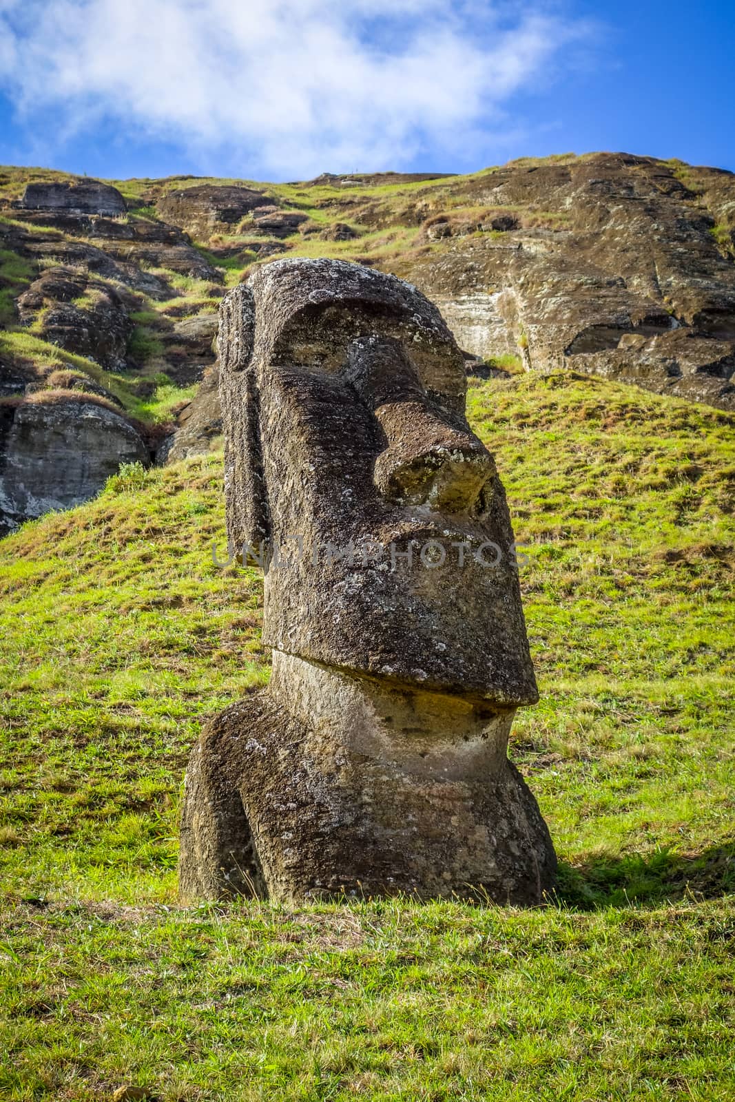 Moai statue on Rano Raraku volcano, easter island, Chile