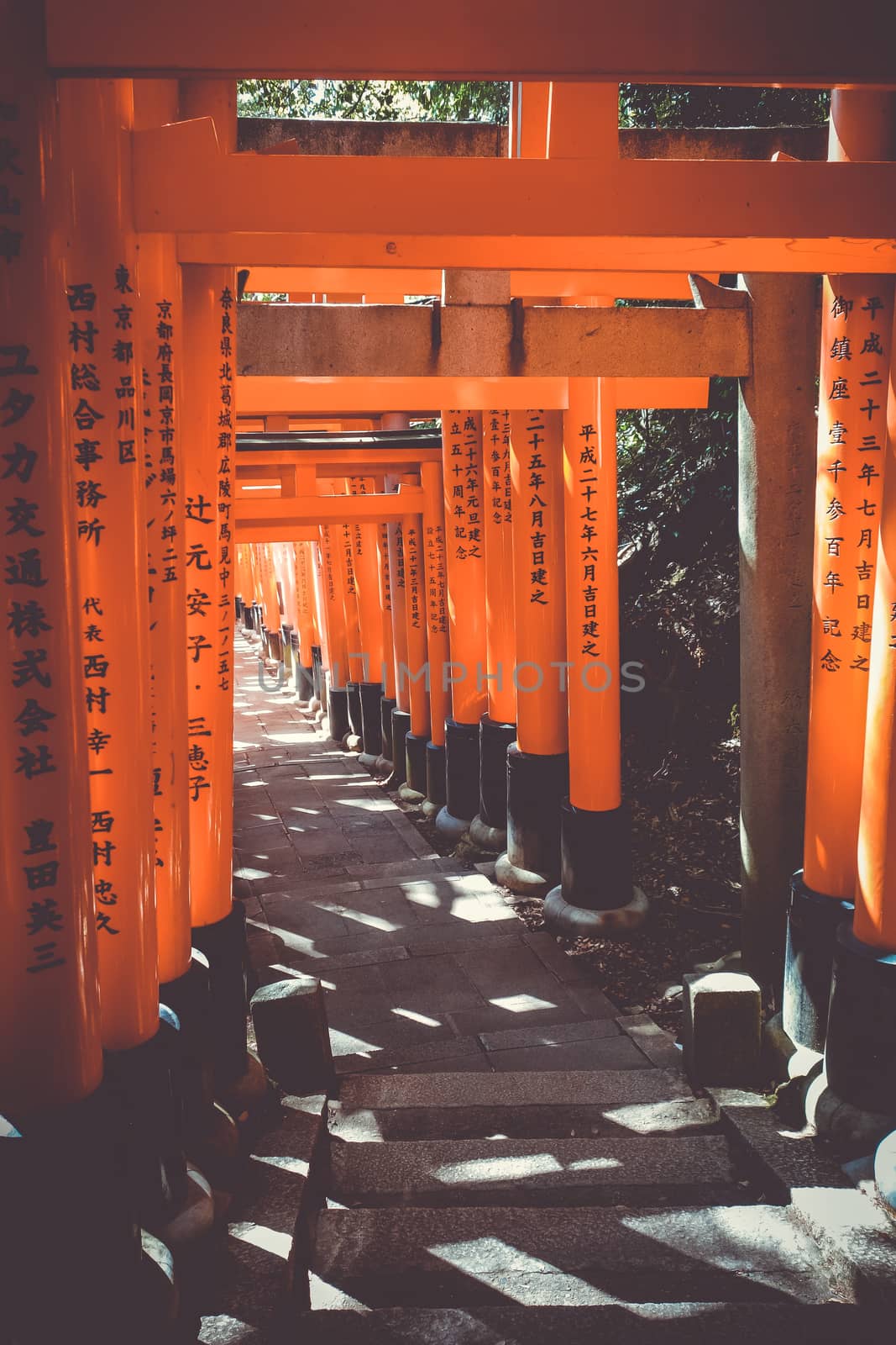 Fushimi Inari Taisha torii shrine, Kyoto, Japan