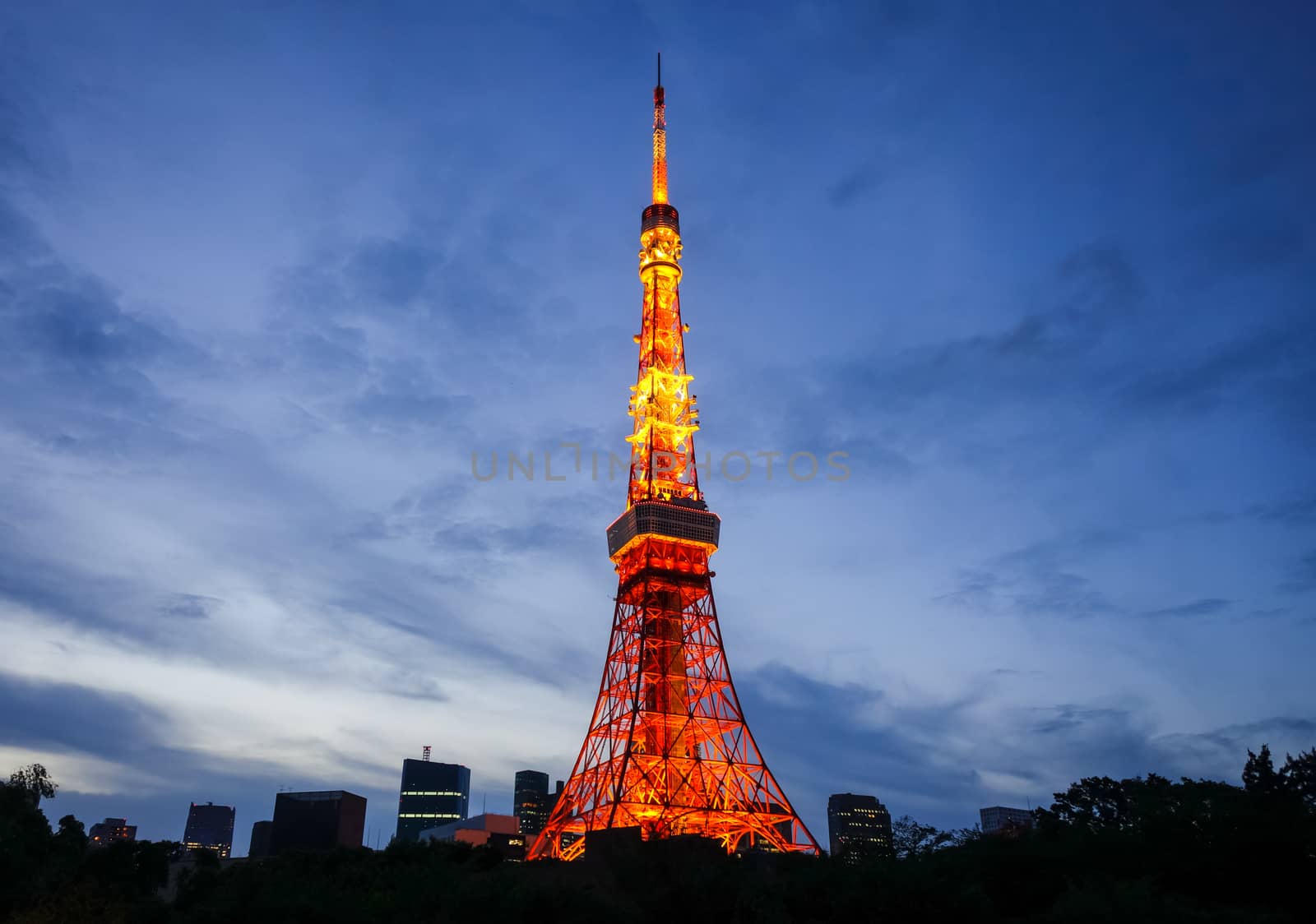 Tokyo tower and city at night, Japan