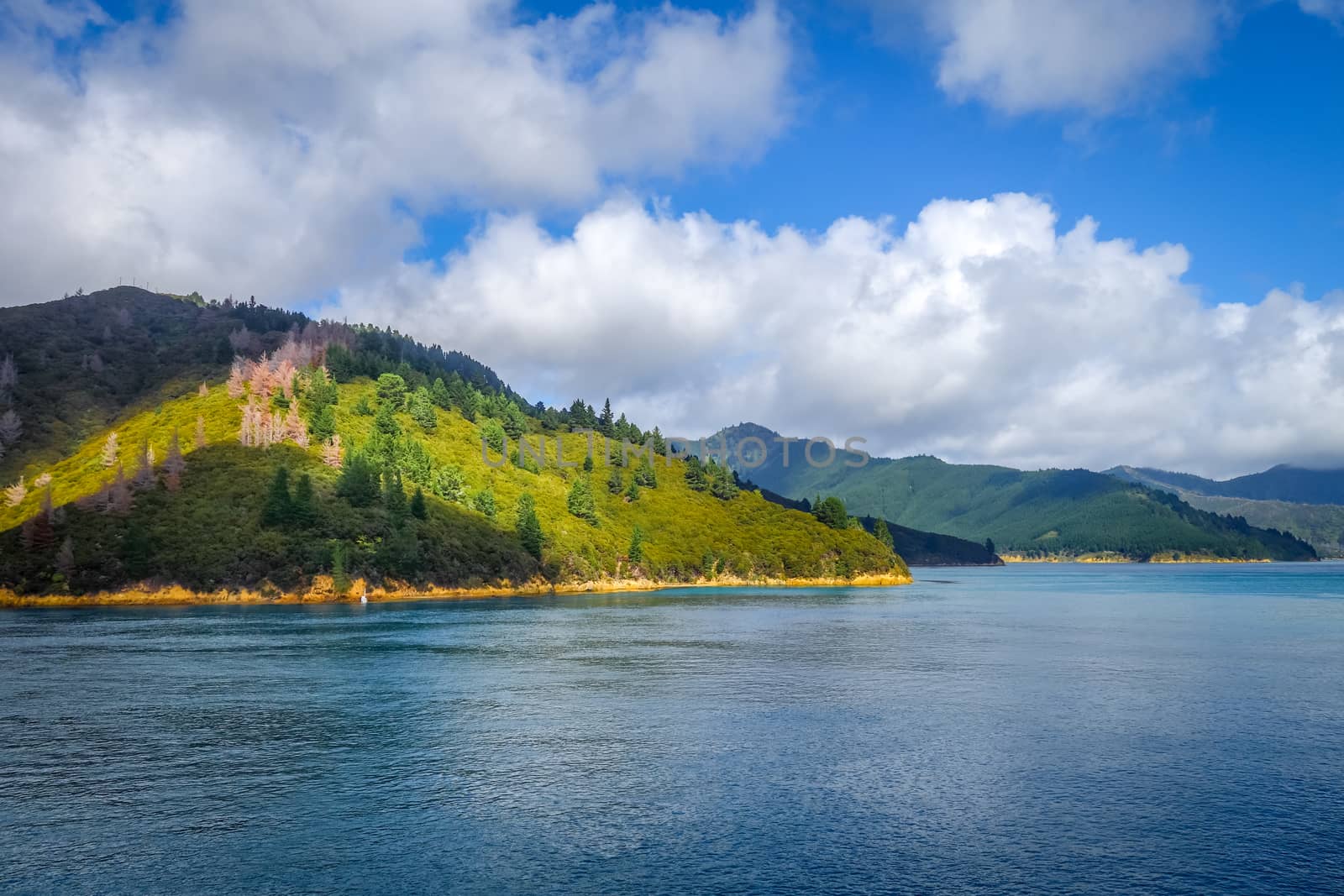 Marlborough Sounds coast and hills, New Zealand