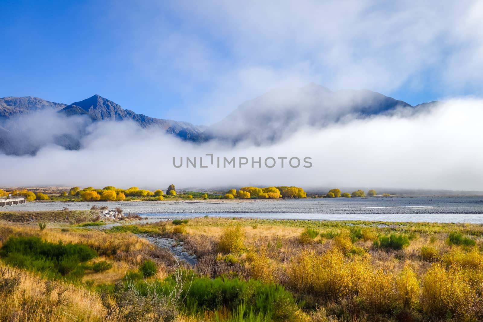 Yellow forest and river in New Zealand mountains by daboost