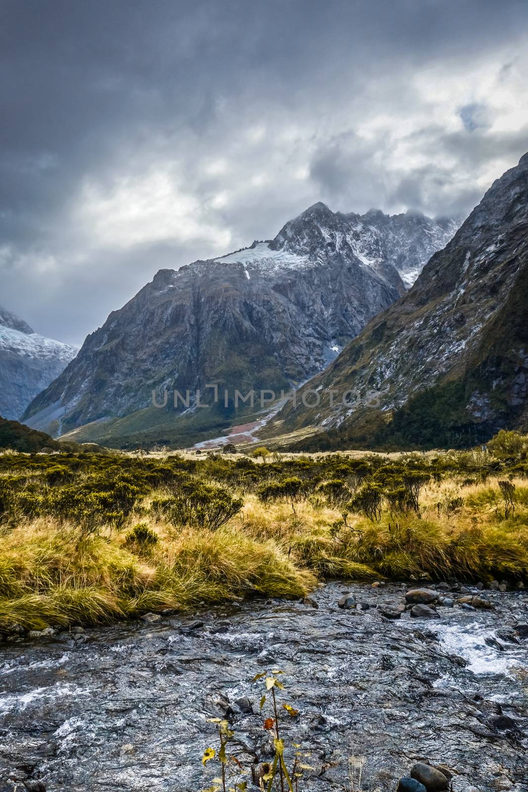 River in Fiordland national park, New Zealand by daboost