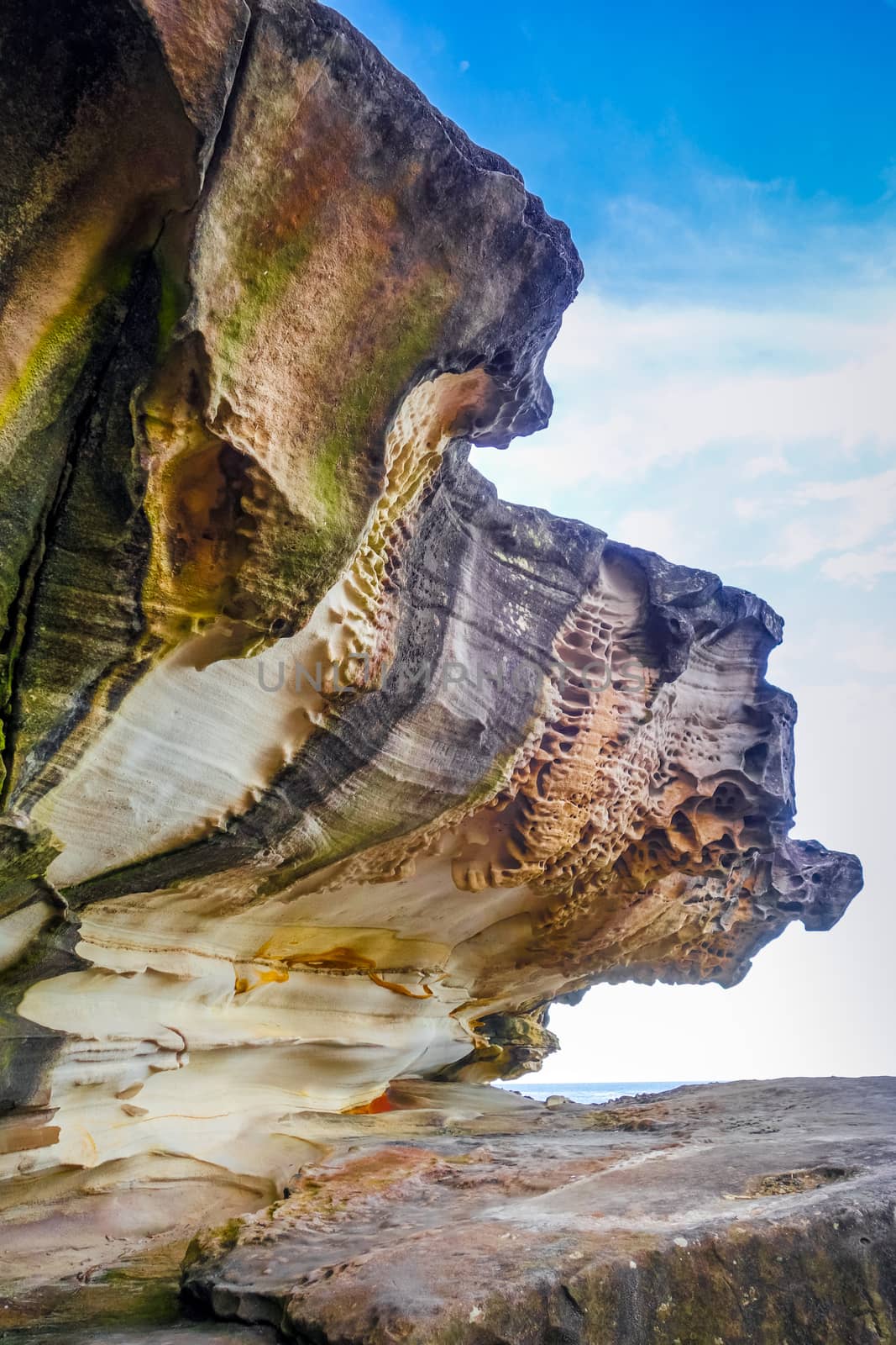 Bondi Beach coastal cliffs in Sydney, Australia