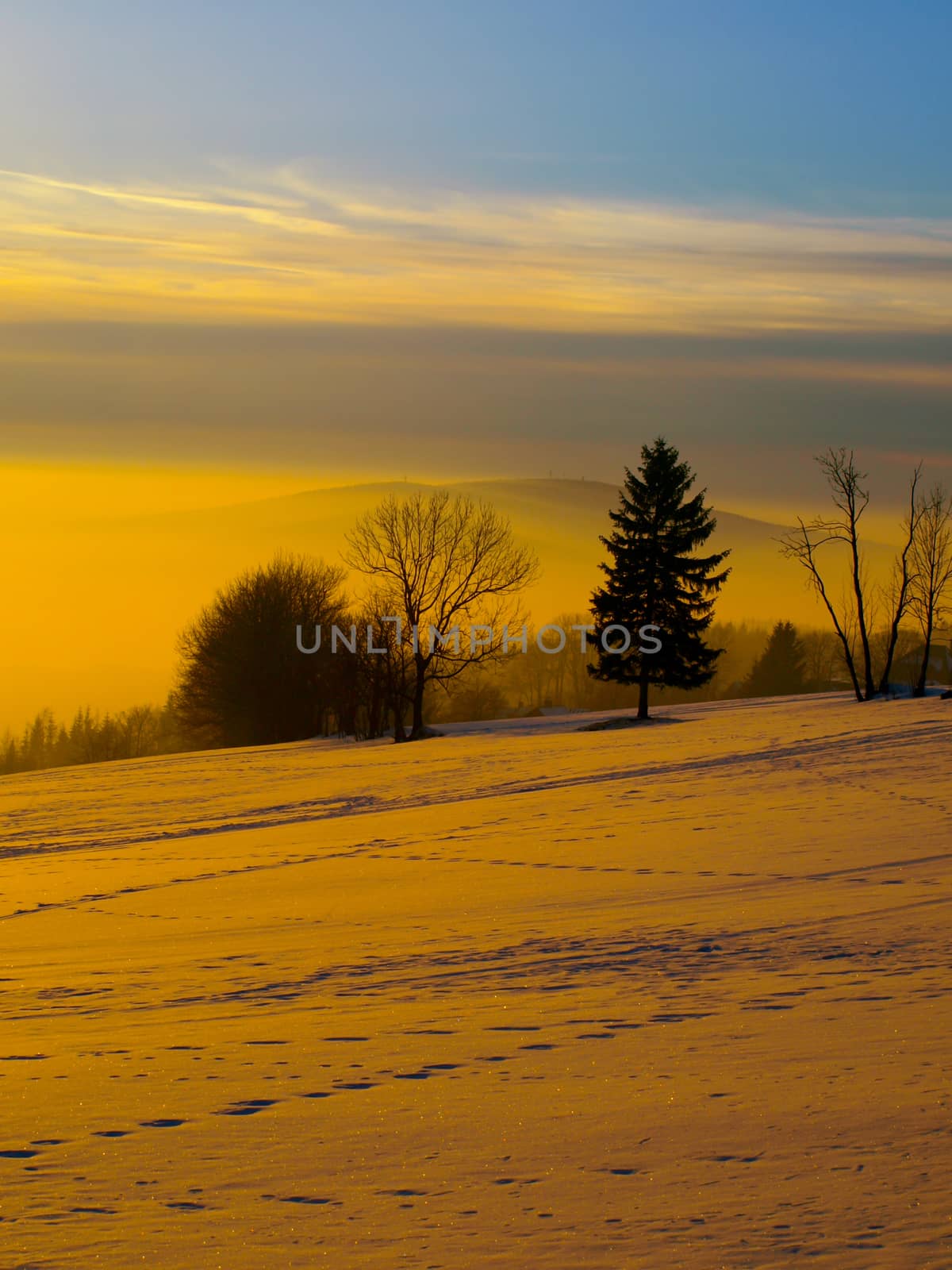 Wintertime sunset in landscape with trees, warm colors