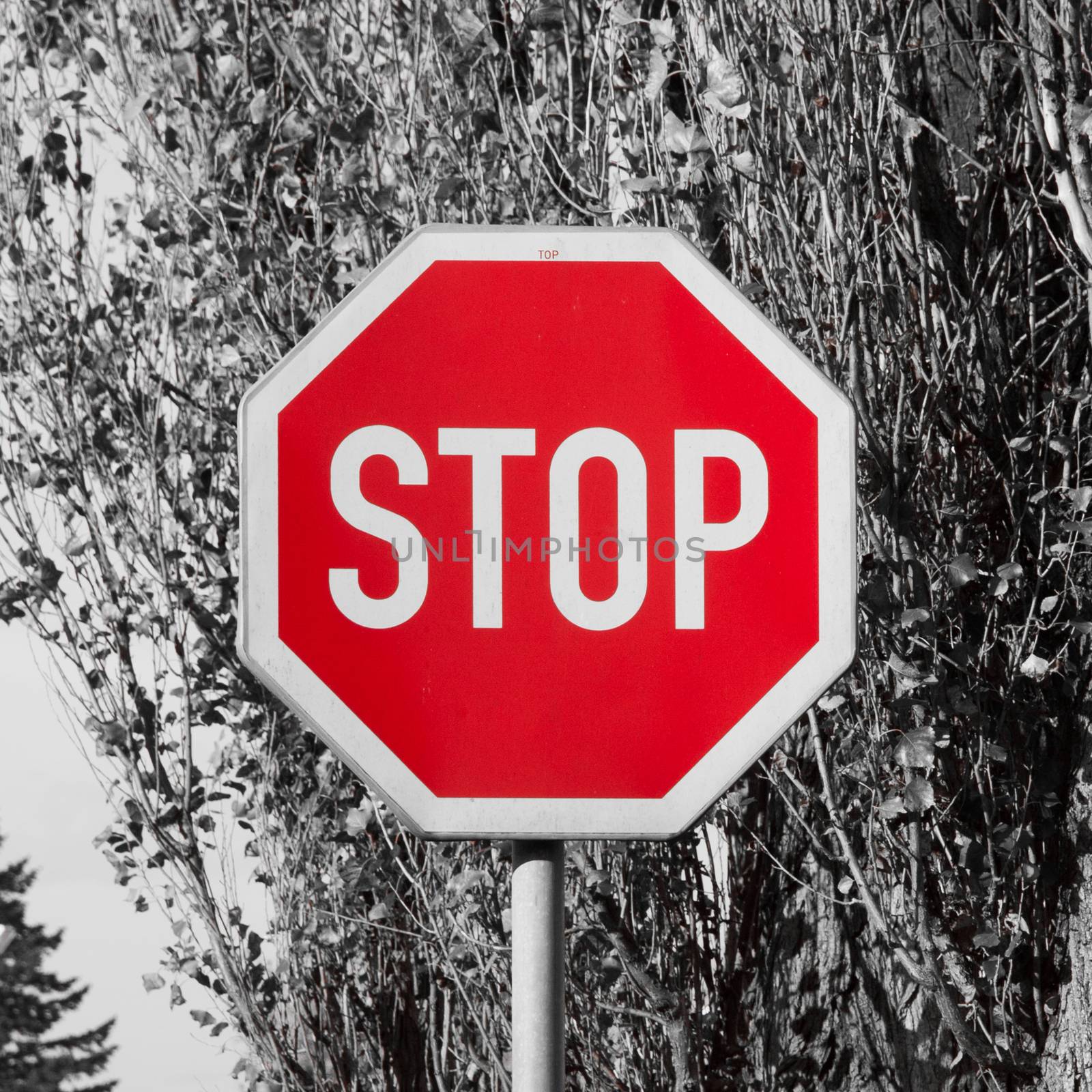 Stop traffic sign by pyty