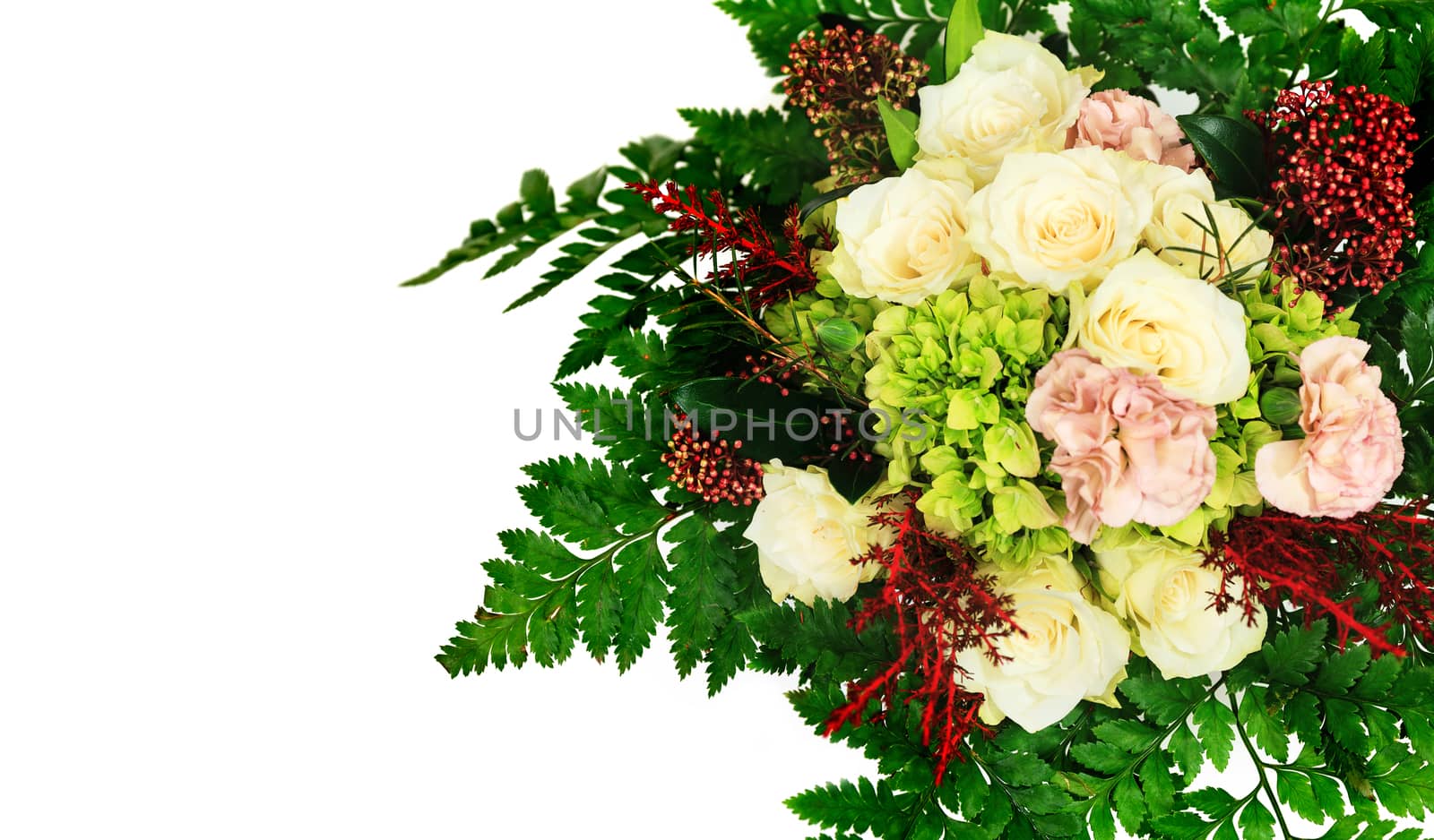 Closeup shot of bunch of beautiful flowers, isolated on white ba by Nobilior