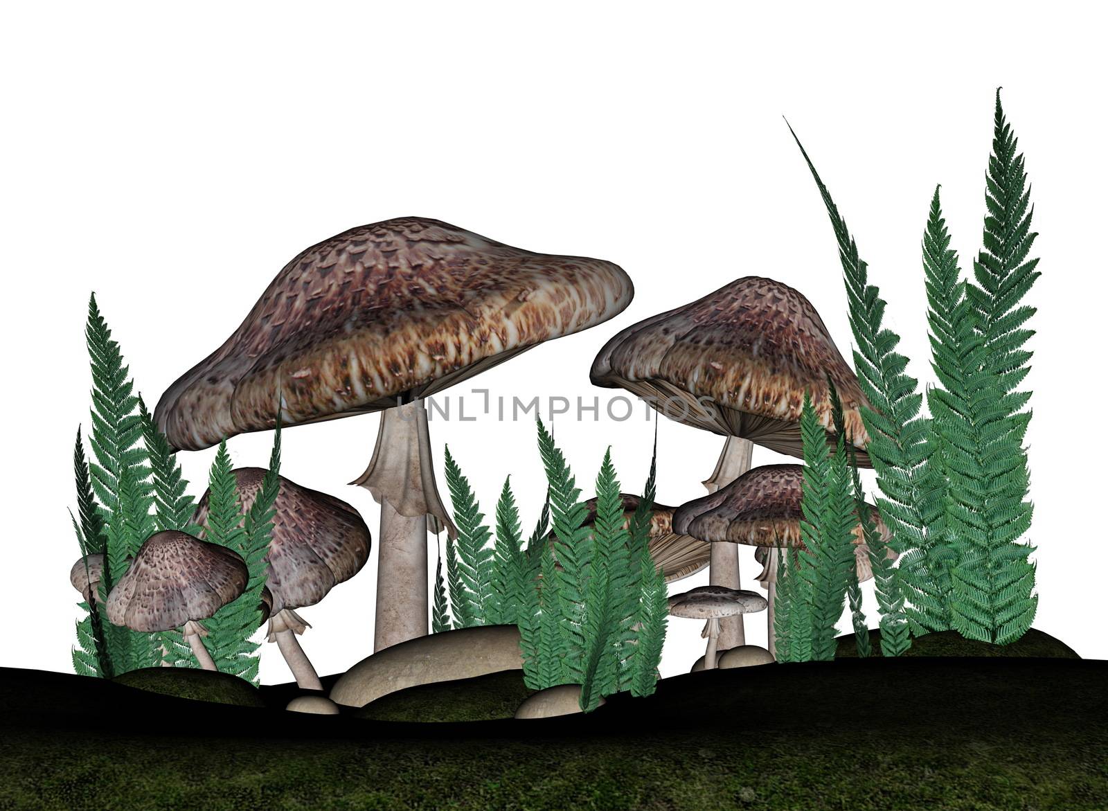 Brown mushrooms - 3D render by Elenaphotos21