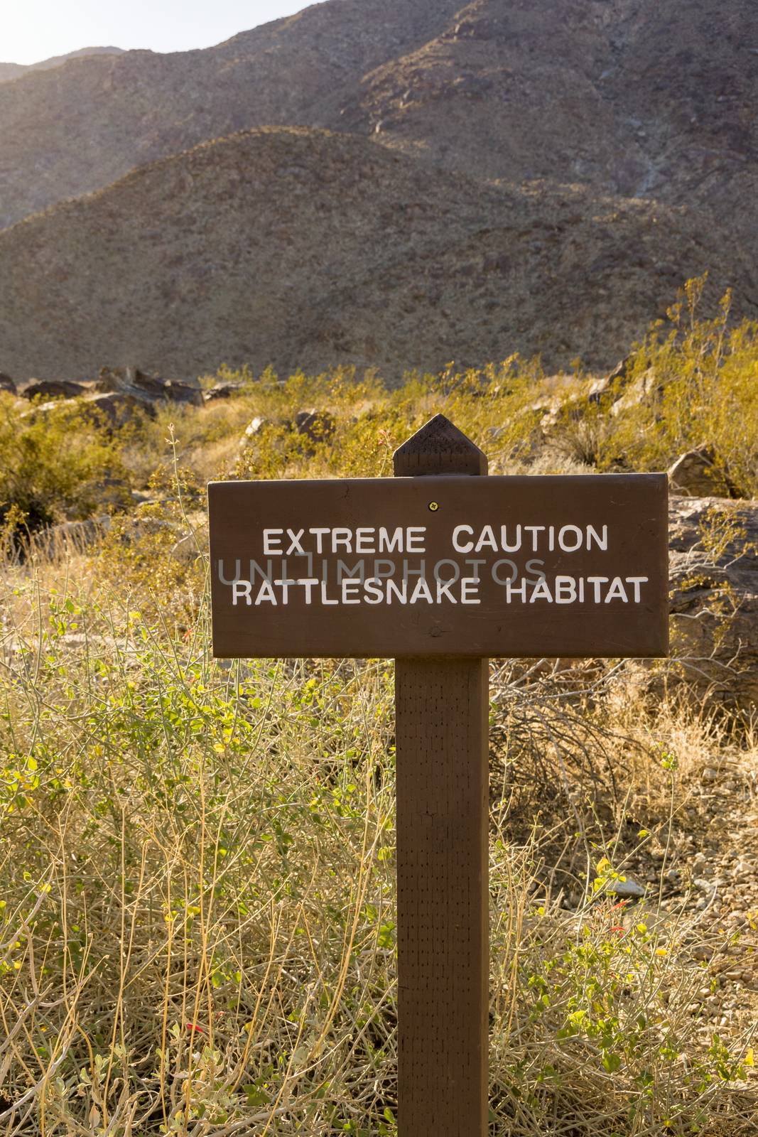 Sign marking rattlesnake habitat in the arid region of southern California.