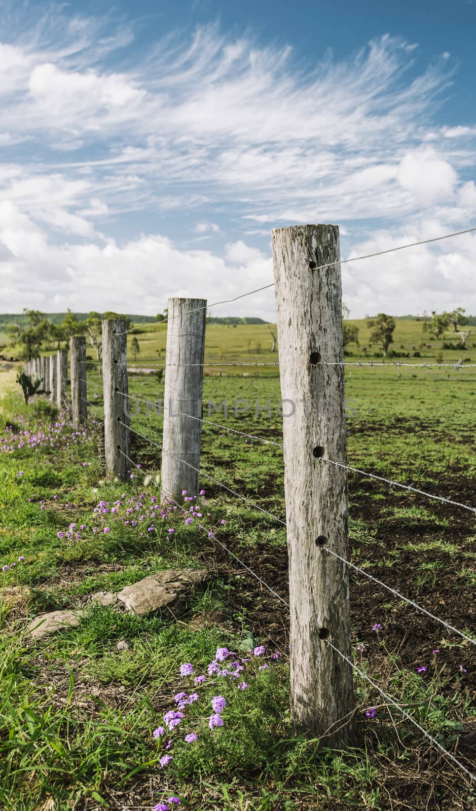 Agricultural and farming field in the countryside.