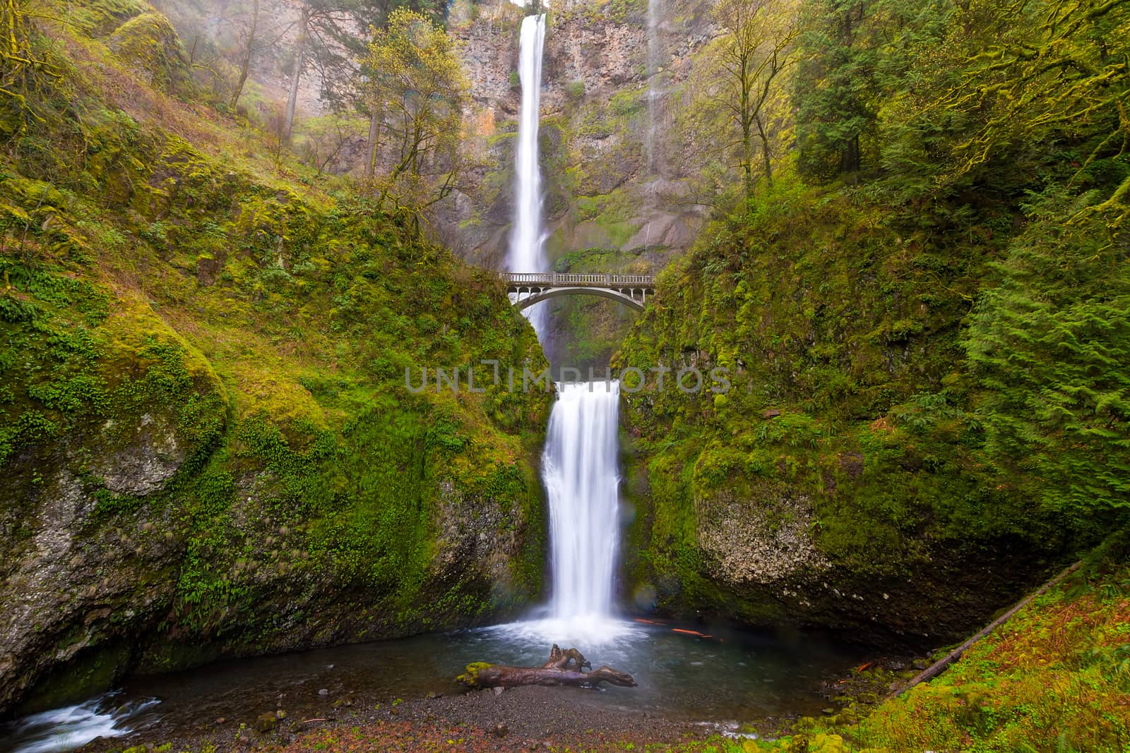 Multnomah Falls by Benson Bridge in Spring by Davidgn