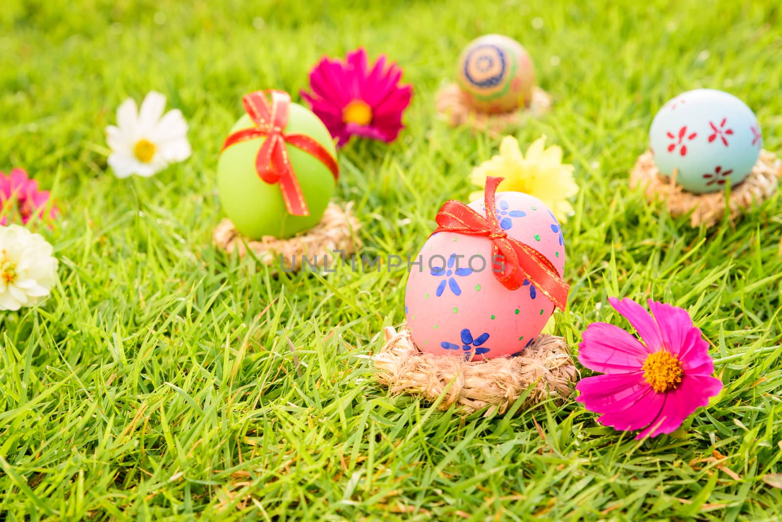 Happy easter!  Closeup Colorful Easter eggs in nest on green grass field during sunset background.