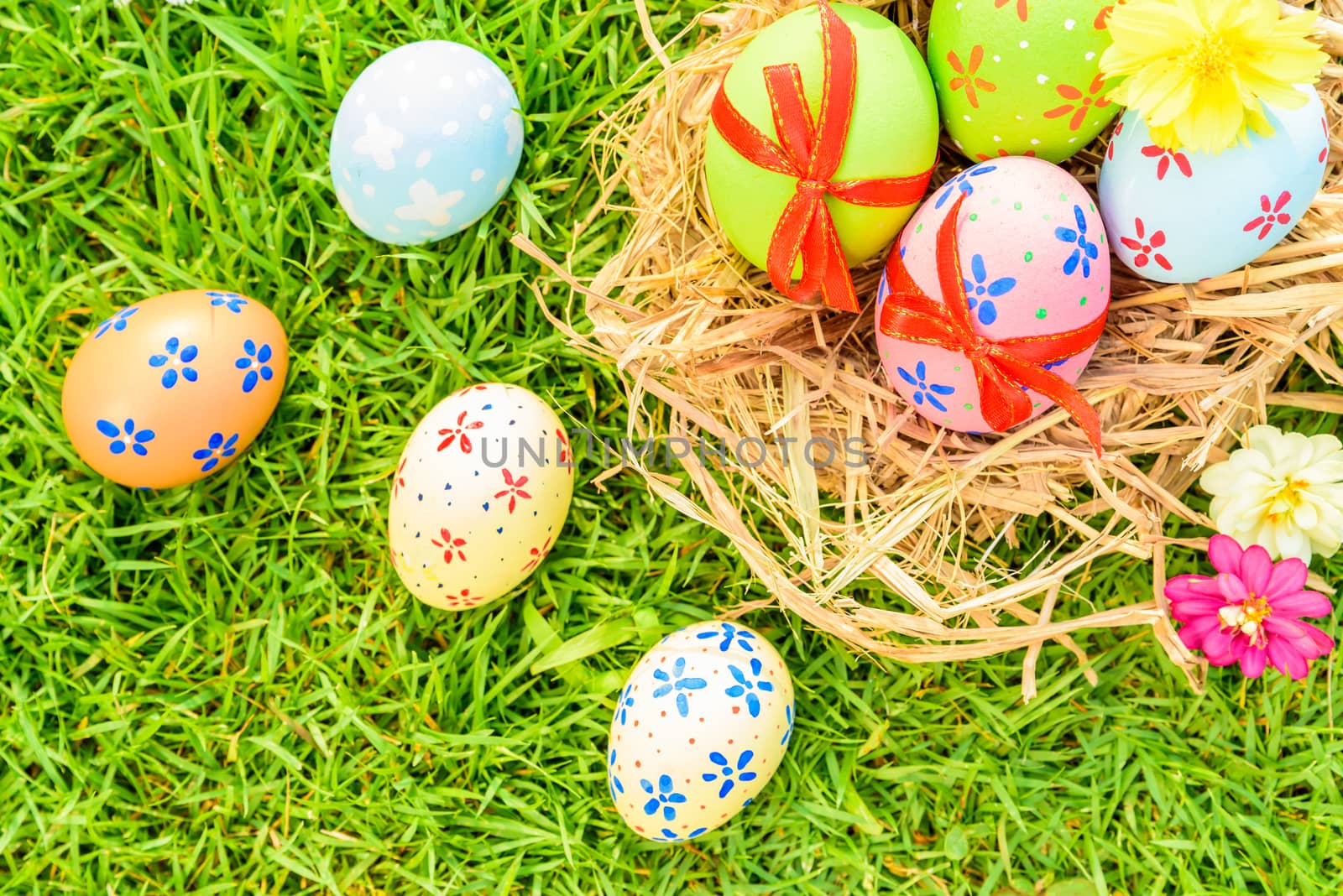 Happy easter!  Closeup Colorful Easter eggs on green grass field by spukkato