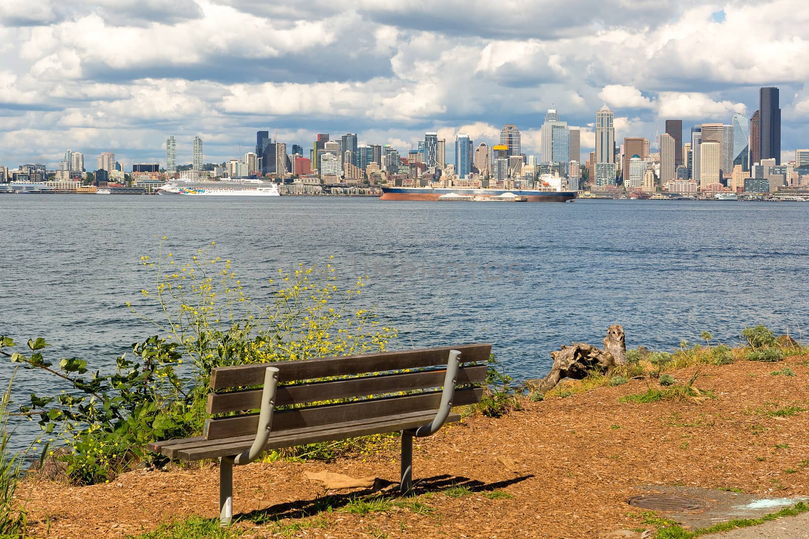 View of Seattle Washington city skyline along Elliott Bay by wooden bench in Alki Beach