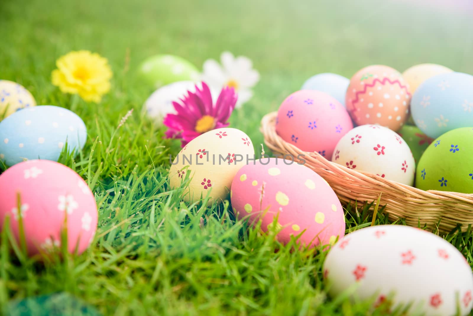 Happy easter!  Closeup Colorful Easter eggs in nest on green grass field during sunset background.