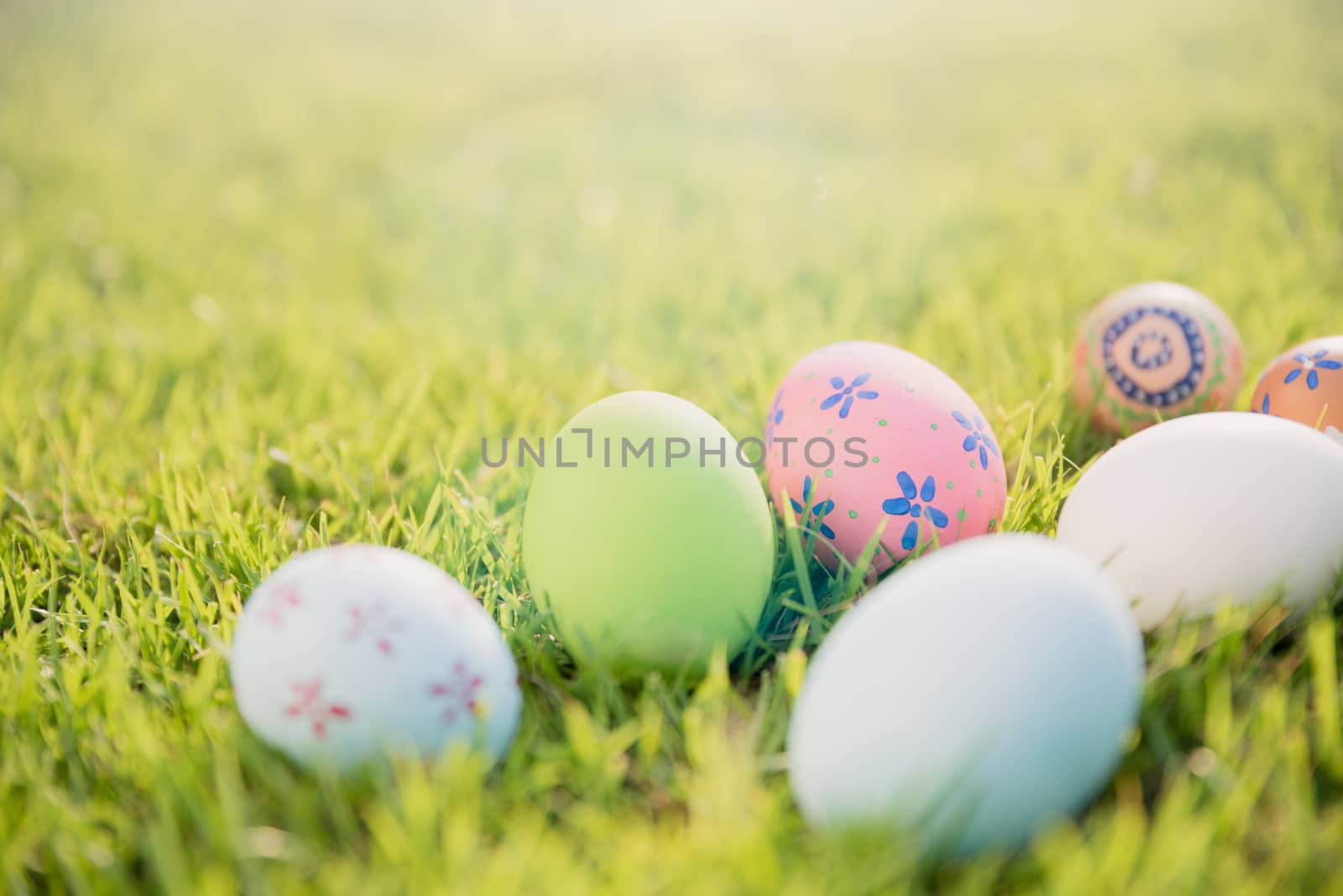 Happy easter!  Closeup Colorful Easter eggs on green grass field during sunset background.