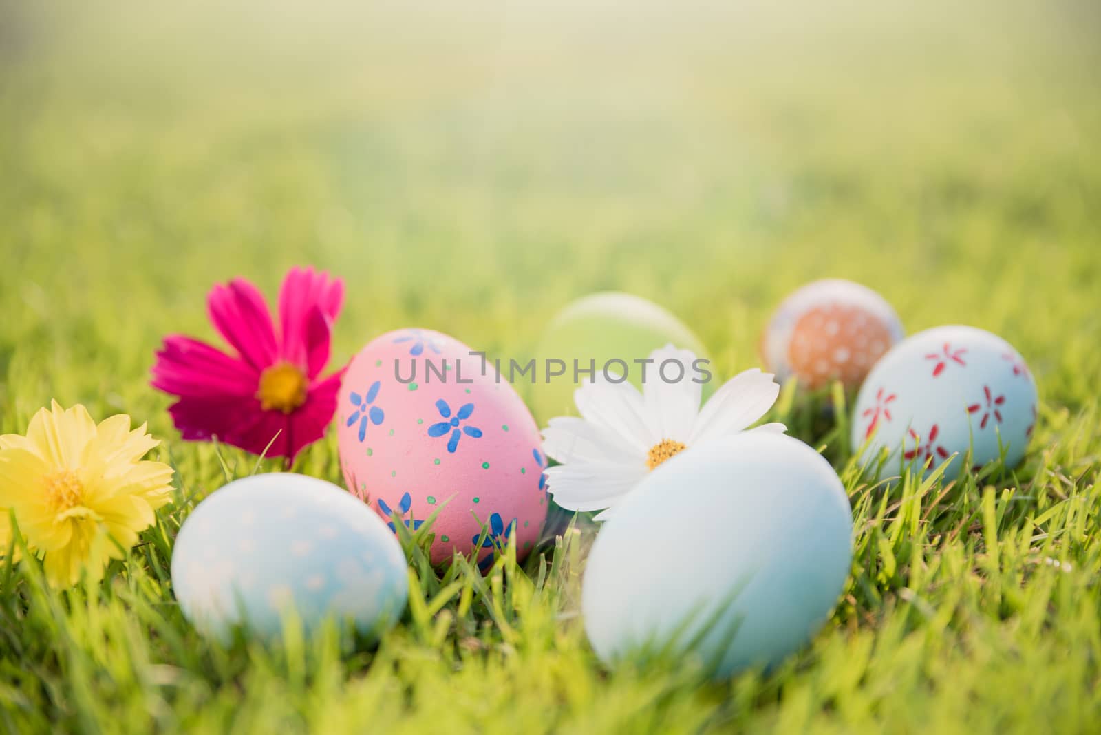 Happy easter!  Closeup Colorful Easter eggs on green grass field during sunset background.