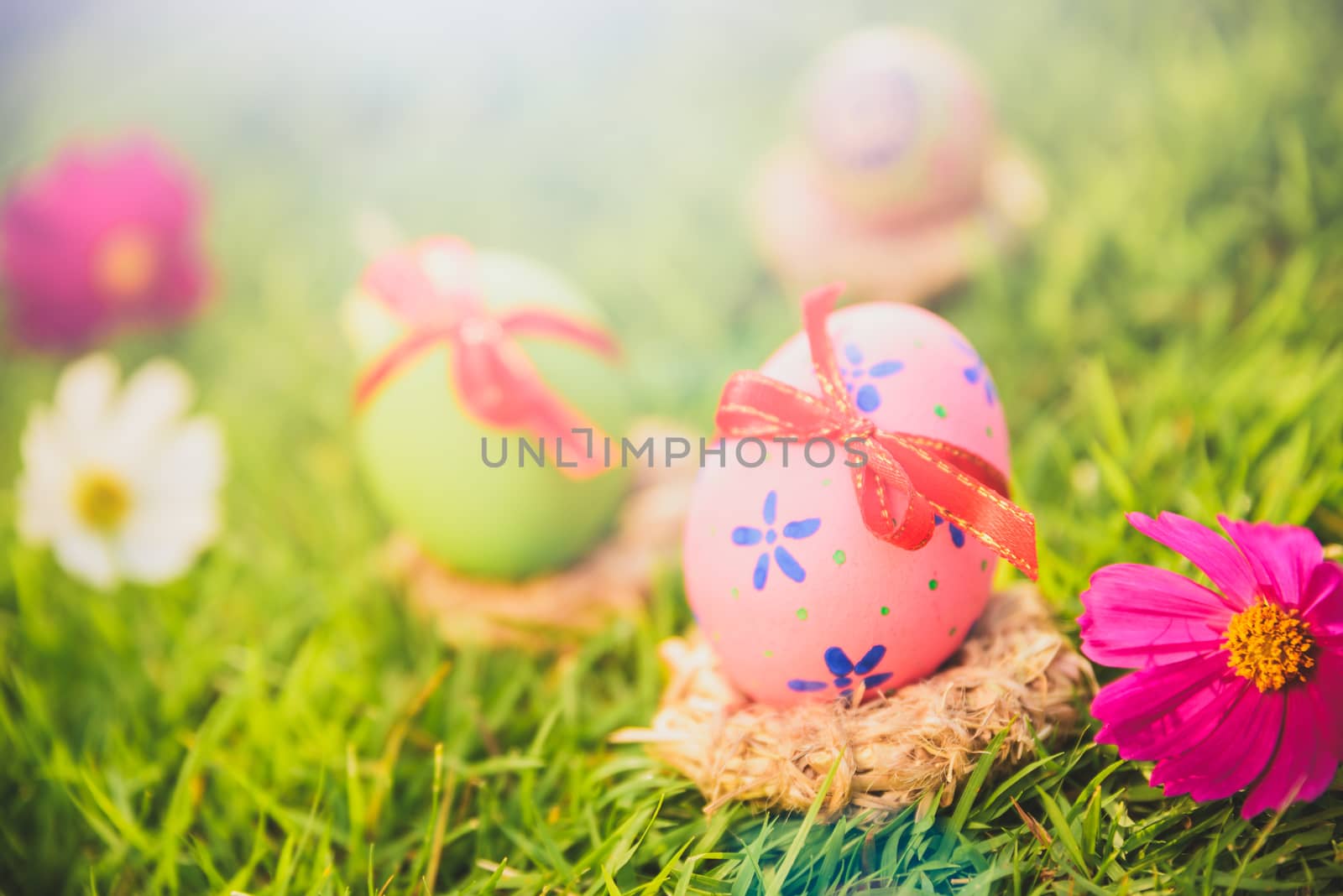 Happy easter!  Closeup Colorful Easter eggs in nest on green grass field during sunset background.