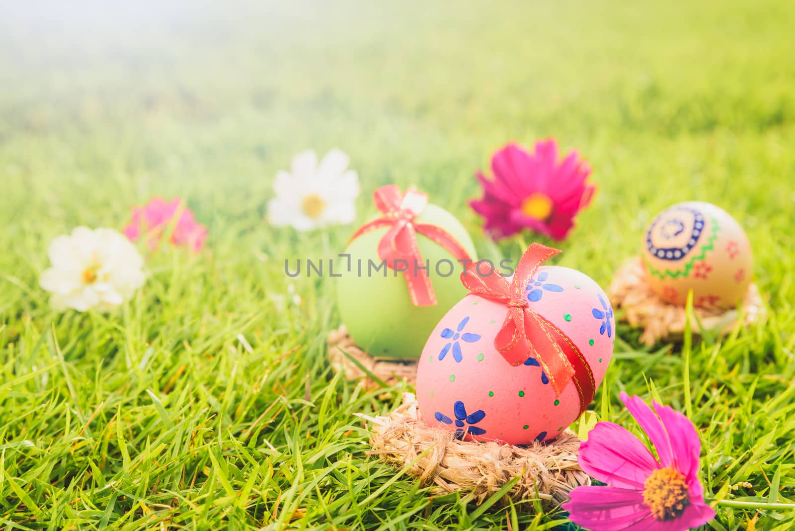 Happy easter!  Closeup Colorful Easter eggs in nest on green grass field during sunset background.