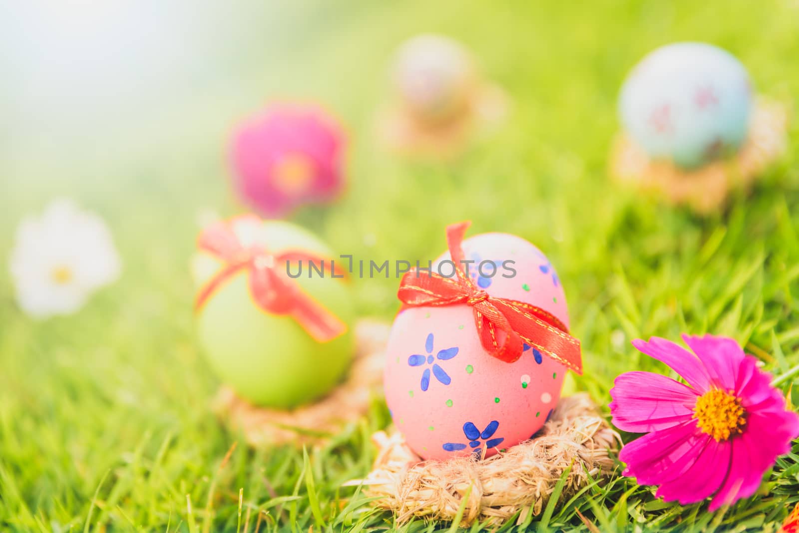 Happy easter!  Closeup Colorful Easter eggs in nest on green grass field during sunset background.